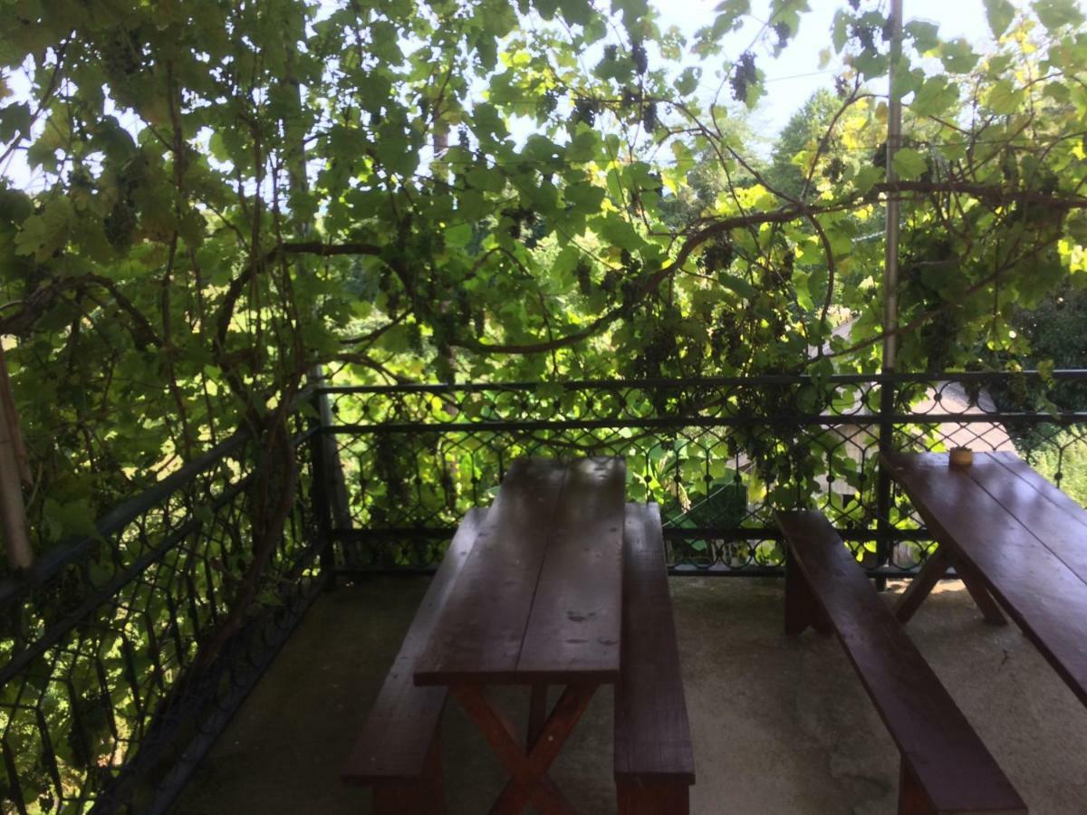 Guesthouse At Oleg'S Zolotoy Bereg Gudauta Εξωτερικό φωτογραφία